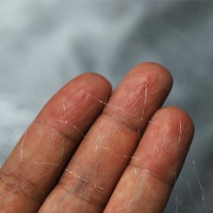 ��ǰ ������